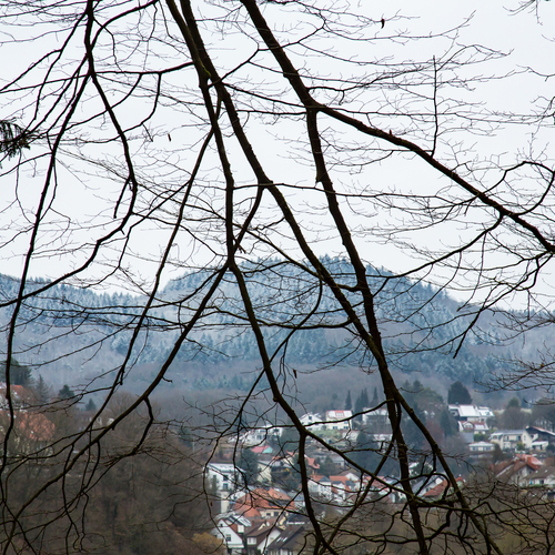 A scenic detailed wide angle landscape photograph showing bare beech fagus sylvatica tree branches over a small village and snowy mountains during a winter day