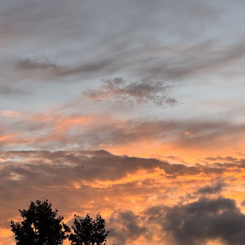 Photo #13787049