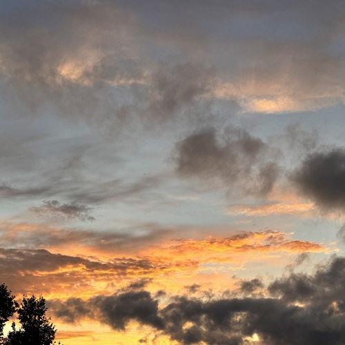 Photo #13787050