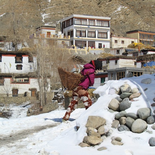 Photo #13787052