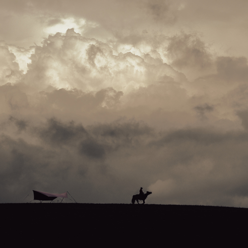 Photo #13787056
