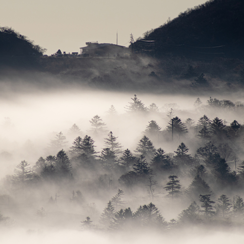 Gunma No UMA