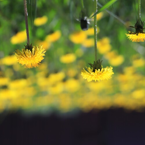 Photo #13787128