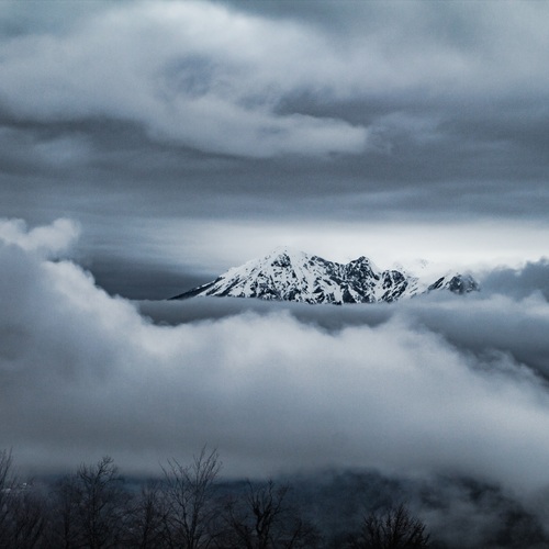 Photo #13787225