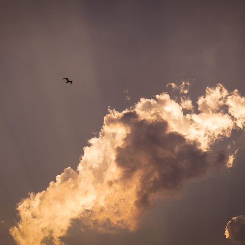 Photo #13787243
