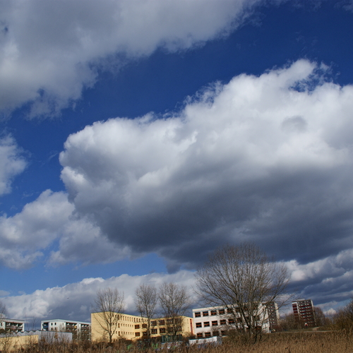 Photo #13787246