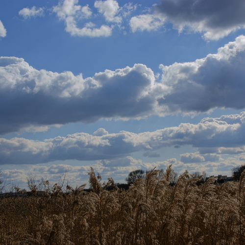 Photo #13787252