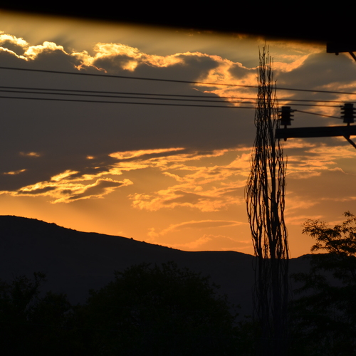 Photo #13787265