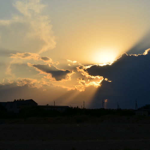 Photo #13787269