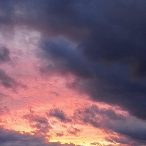 Photo #13787275