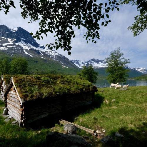 In a mountain village