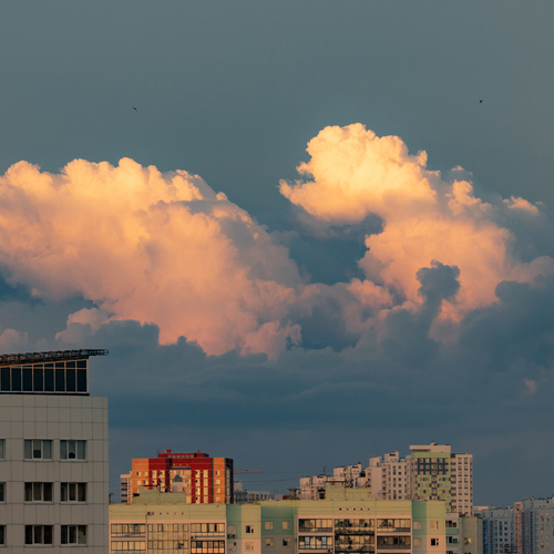 Photo #13787312