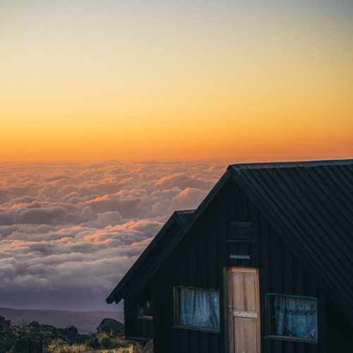 Photo #13787318