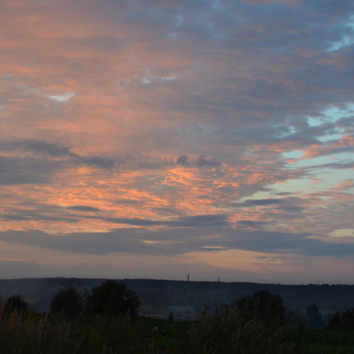 Photo #13787323