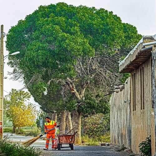 Photo #13787327
