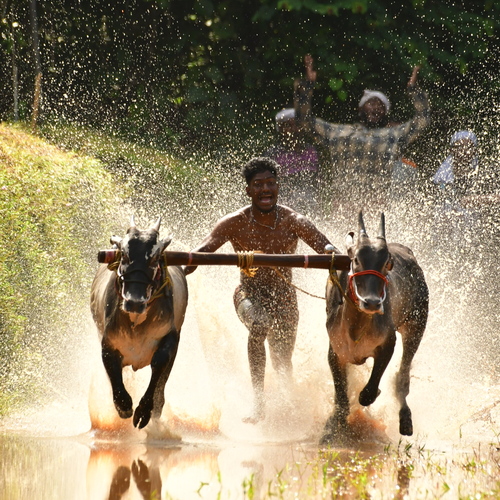 Jithin Thomas