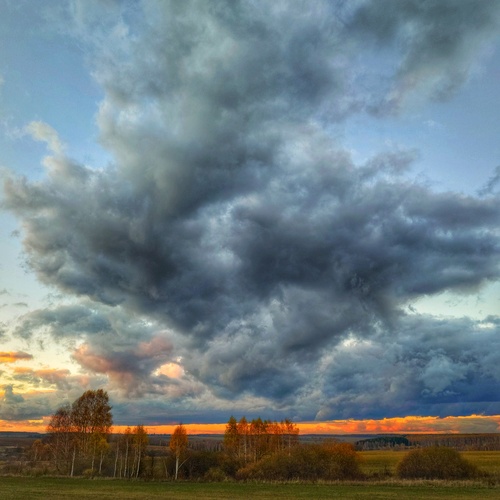 Photo #13787411