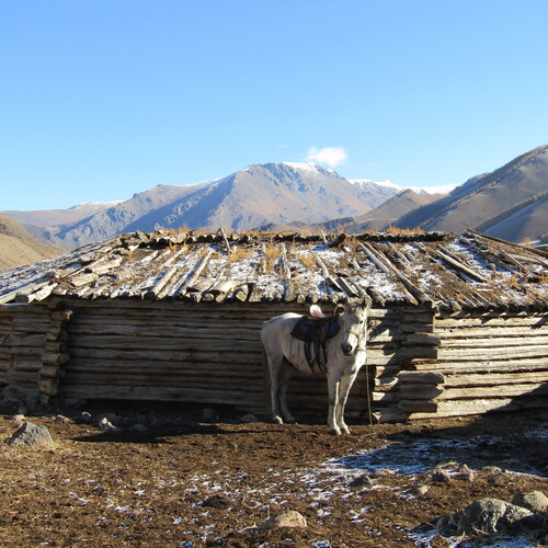 Photo #13787438