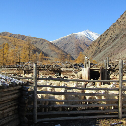 Photo #13787440