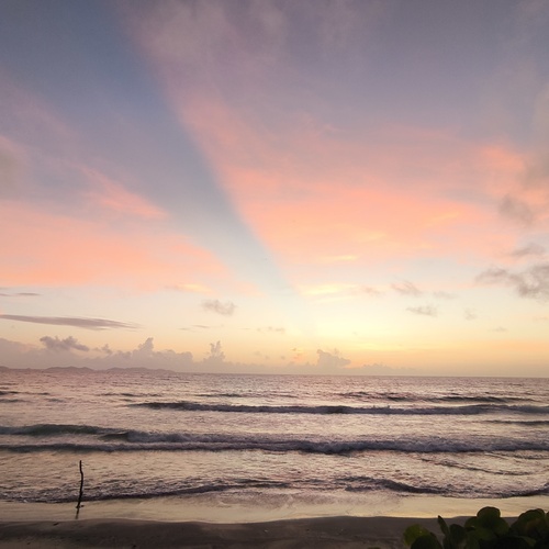Photo #13787457