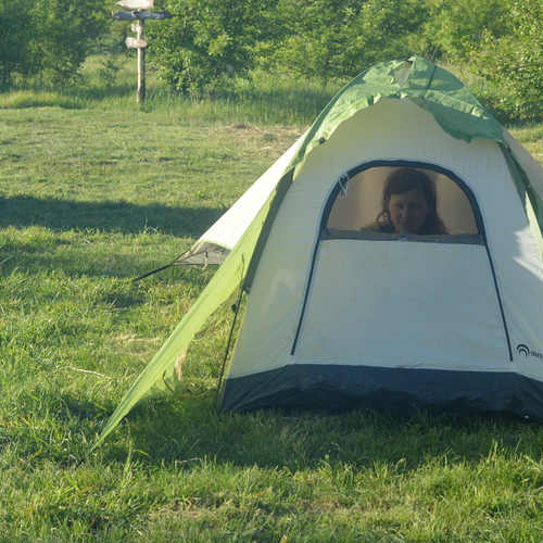 Photo #13787503