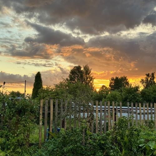 Photo #13787504