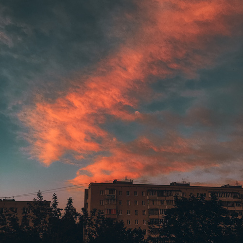 Photo #13787514
