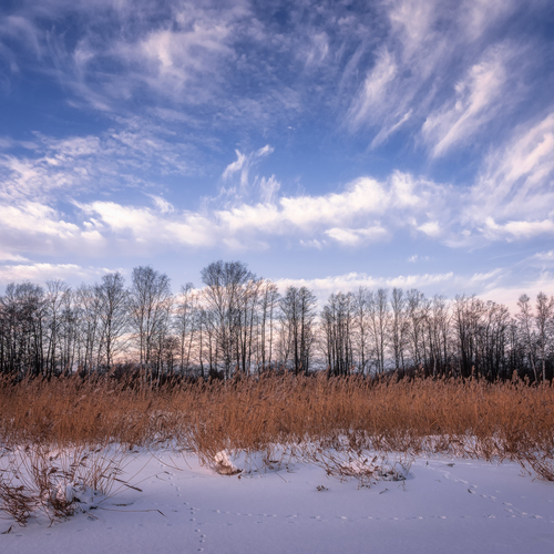 Photo #13787527