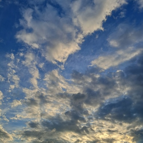 Photo #13787552