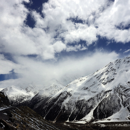 Photo #13787566