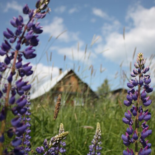 Photo #13787583