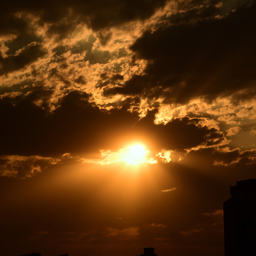 Photo #13787595