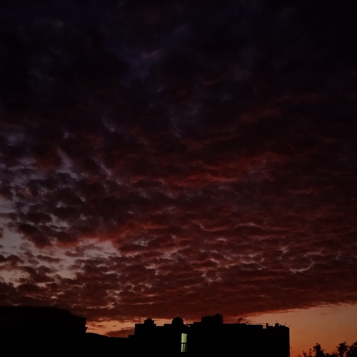 Photo #13787639