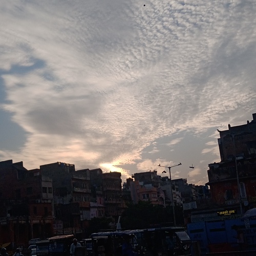 Photo #13787641