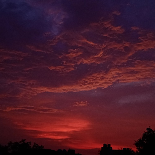 Photo #13787653