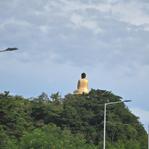 Photo #13787669