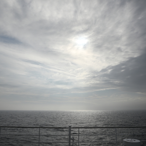 Photo #13787675