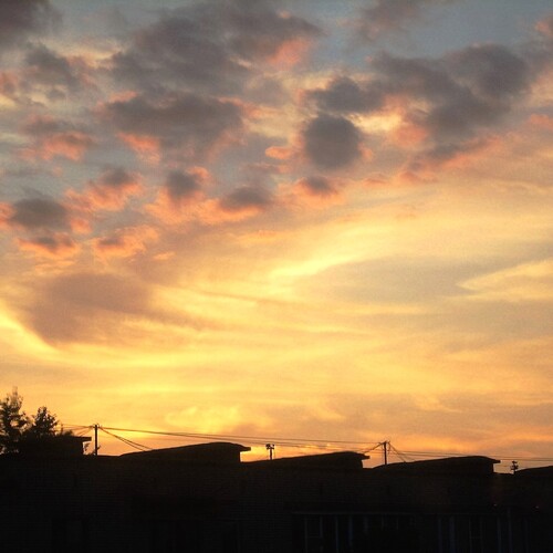 Photo #13787726