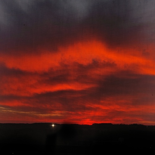 Photo #13787794