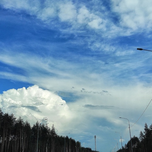Photo #13787795