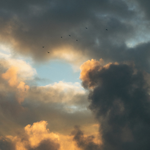 Photo #13787869