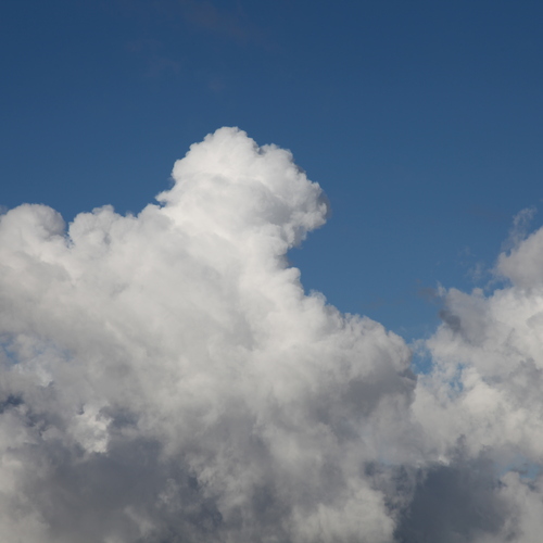 Photo #13787883