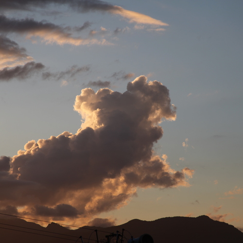 Photo #13787888