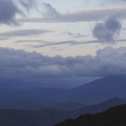 Photo #13787893