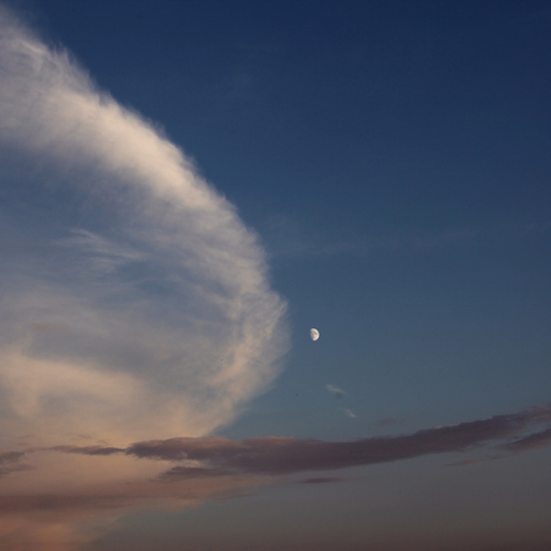 Photo #13787897