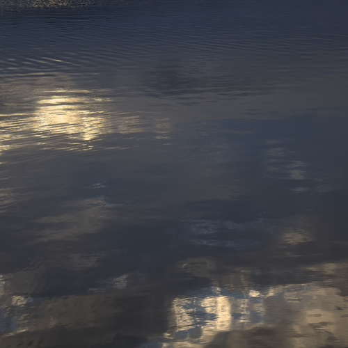 Photo #13787899
