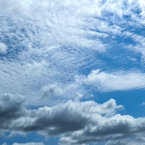 Photo #13787961