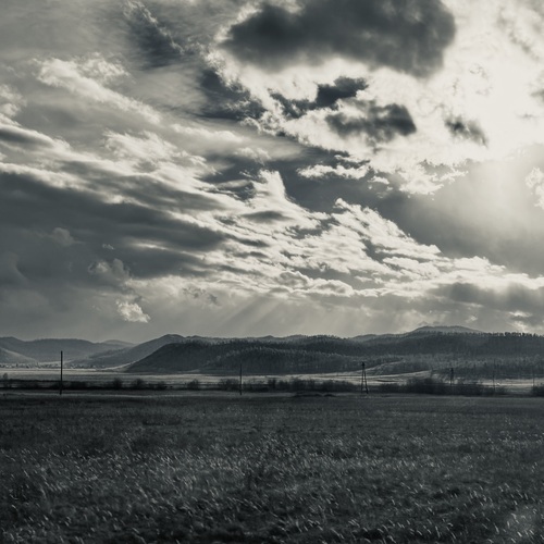 Photo #13787985