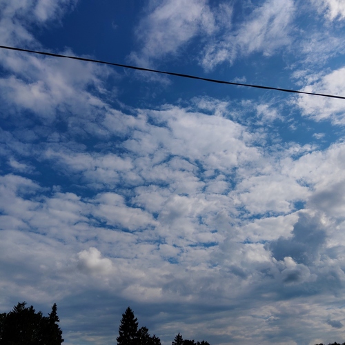 Photo #13787993
