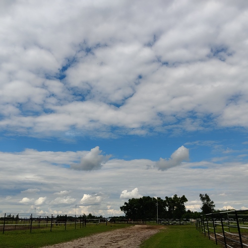 Photo #13787995